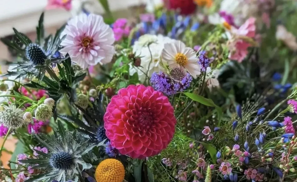 Meadow-style funeral tribute with dahlias and blue thistle